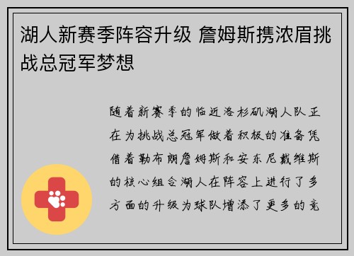 湖人新赛季阵容升级 詹姆斯携浓眉挑战总冠军梦想