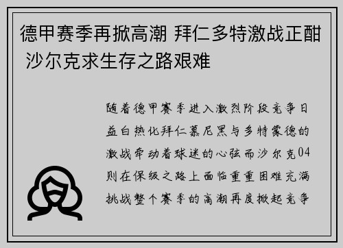 德甲赛季再掀高潮 拜仁多特激战正酣 沙尔克求生存之路艰难